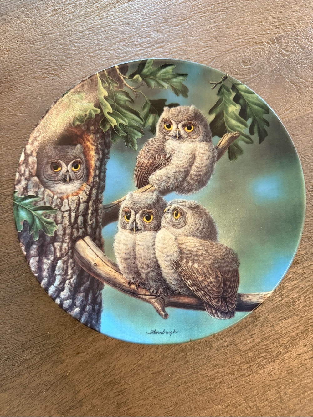 Knowles Decorative Owl Plate in Teal and Brown